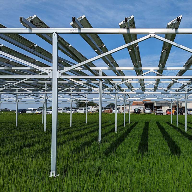 Come massimizzare il ritorno sull'investimento (ROI) degli impianti solari per terreni agricoli